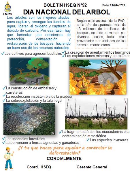 BOLETIN N ° 92 DIA NACIONAL DEL ARBOL | Ecolcin S.A.S.